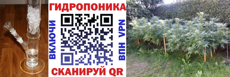 Где купить наркотики Луза Cocaine  A-PVP  NBOMe  Канабис  Меф  ГАШИШ 