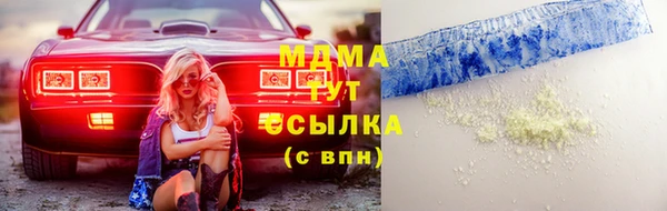 индика Алзамай