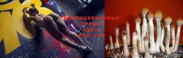 гидропоника Армянск