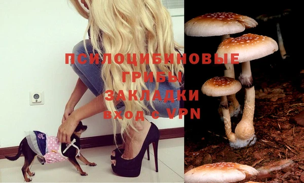 хмурый Баксан