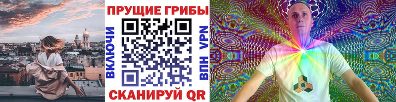 Галлюциногенные грибы Psilocybine cubensis  Луза 